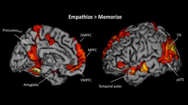 FIGURE 4 | Neural regions that were commonly activated during the empathize and watch conditions (collapsing across emotions) compared to neutral. Source: