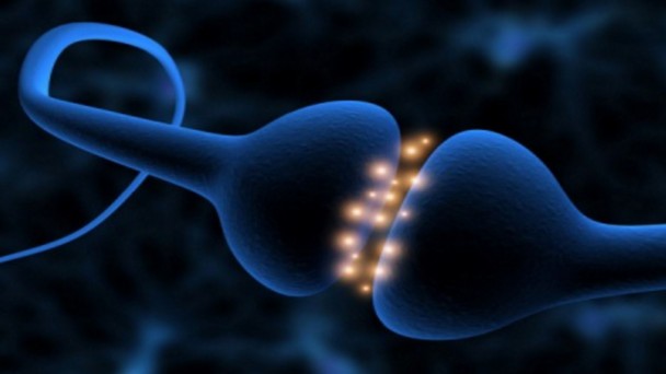 Neuroscience onAir Hub 11