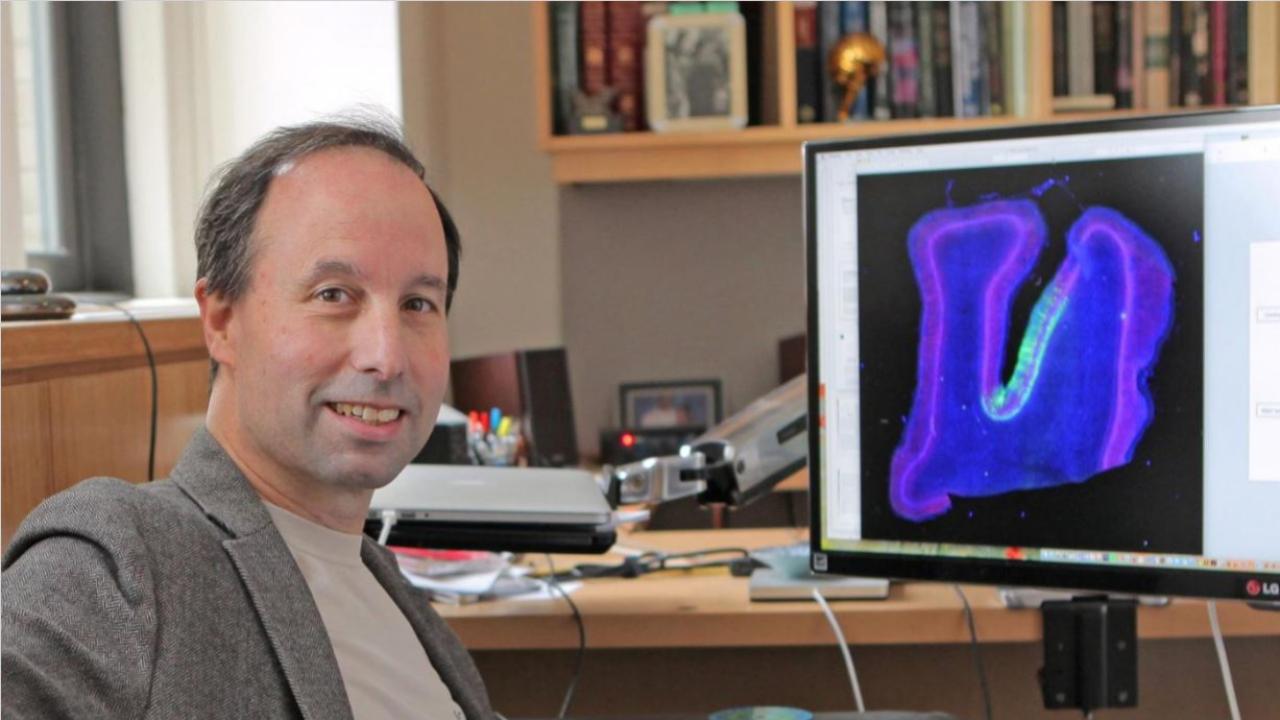 Shedding Light on Biology of Human Consciousness